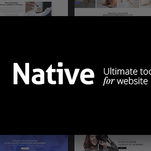 Native – Stylish Multi-Purpose Creative WP Theme